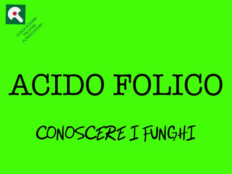 ACIDO FOLICO