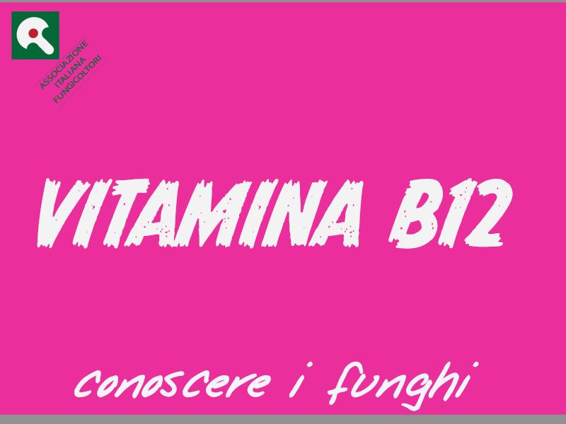 VITAMINA B12