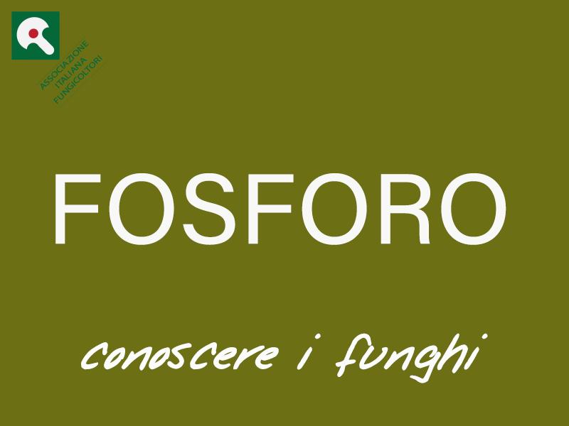 FOSFORO