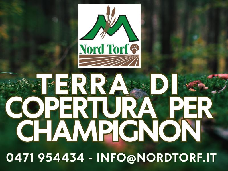 LA TERRA DI COPERTURA