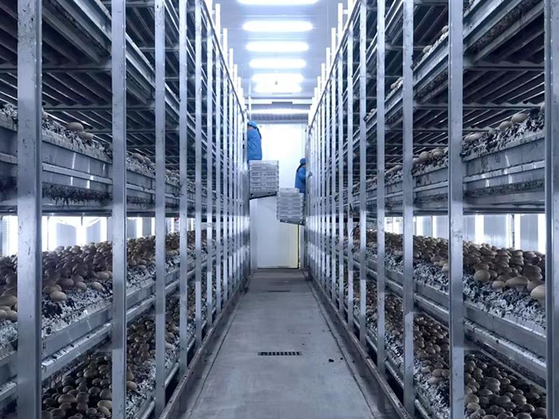 1,5 MILIARDI ANCORA DISPONIBILI