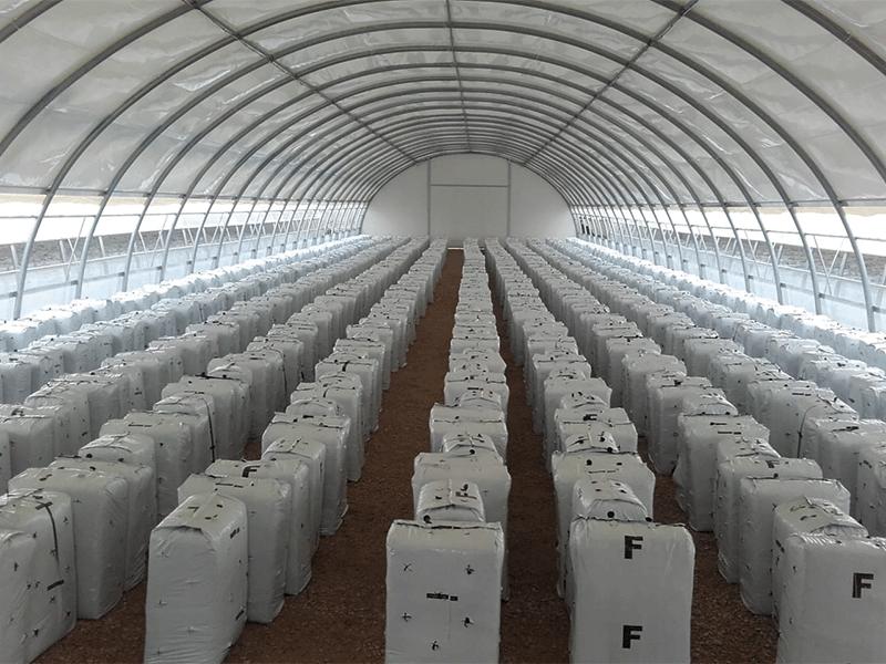 GUIDA ALL'APERTURA DI UNA FUNGAIA