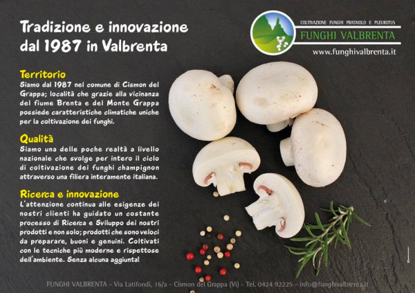 FUNGHI VALBRENTA