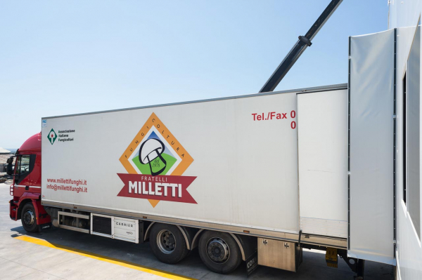 F.lli MILLETTI Az. Arg.