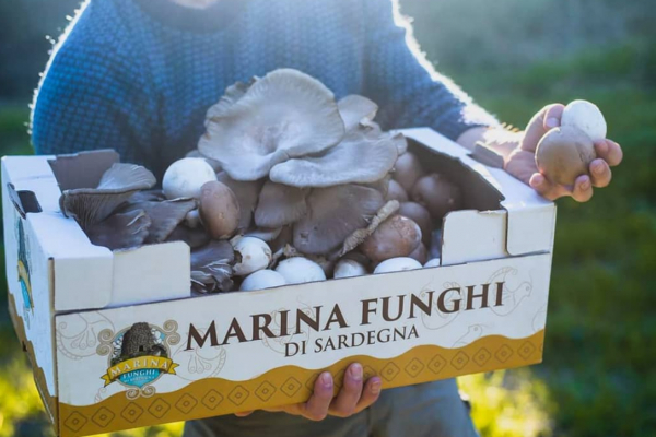 MARINA FUNGHI