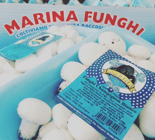 MARINA FUNGHI