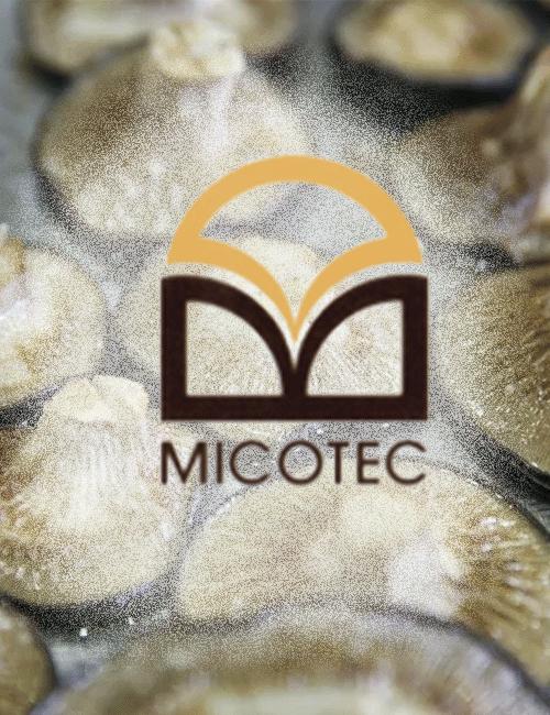 MICOTEC SRL